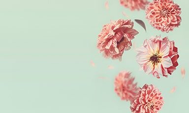 flowers-banner-medium-bottom flowers-banner-medium-bottom